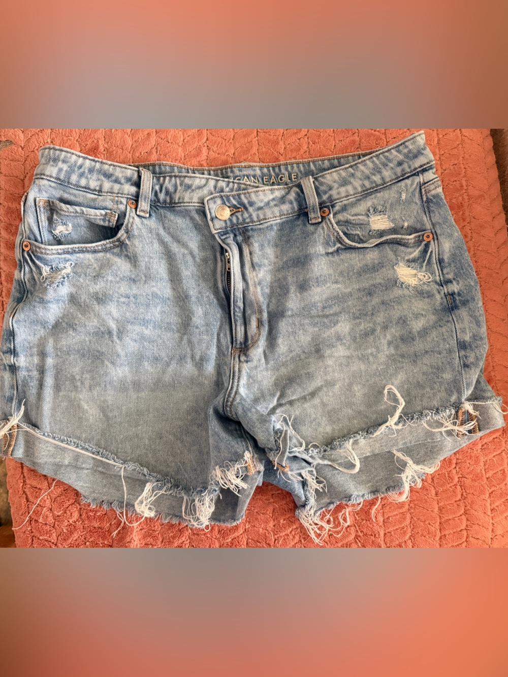 American Eagle Outfitters Light Blue Distressed Denim Cutoff Shorts - Women
